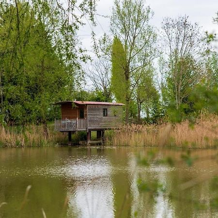 Lakeside Cabin On Stilts- 'Kingfisher' Rous Lench Zewnętrze zdjęcie