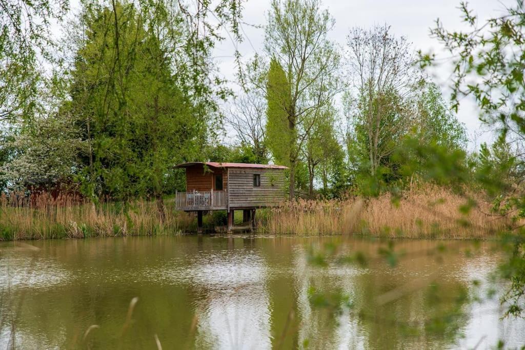 Lakeside Cabin On Stilts- 'Kingfisher' Rous Lench Zewnętrze zdjęcie